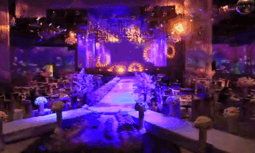 timg484.gif 全息投影