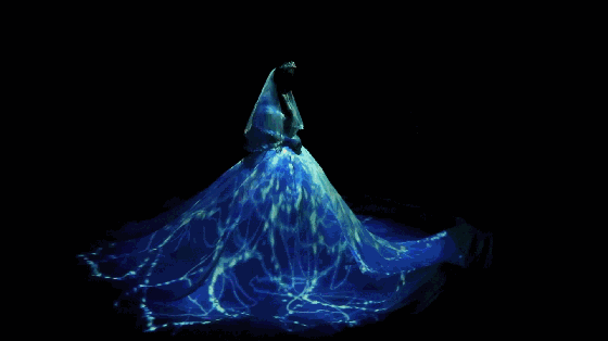 timg11.gif 全息投影