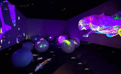 微信截圖_20201028150441.png 全息互動投影