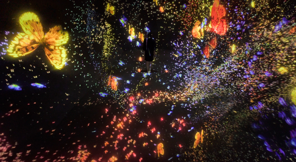 1691395862427606.png 20.png