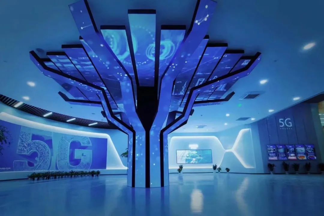 1691396565564576.jpg 01.jpg