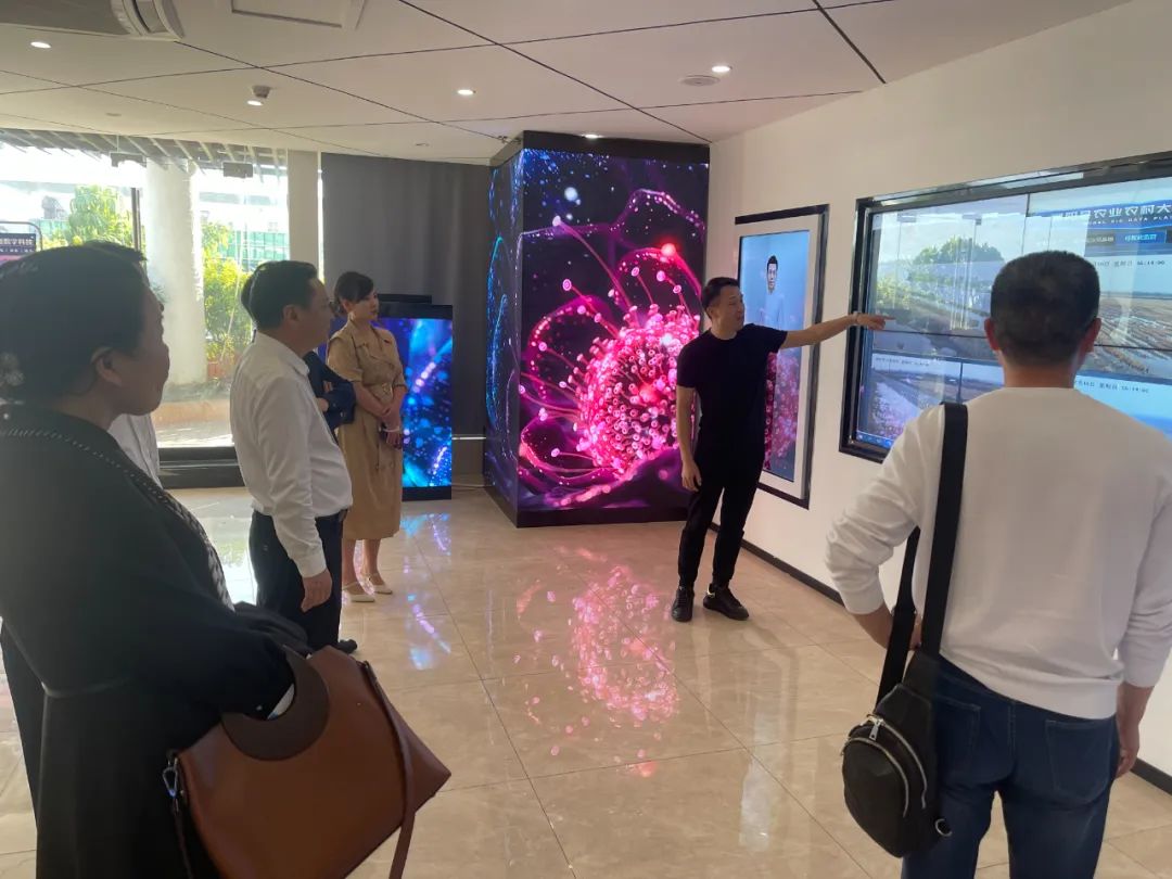 1702518507128789.jpg 4.jpg