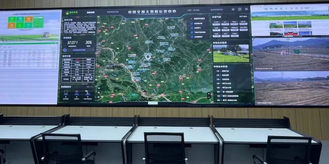 1703123513392535.jpg 10.jpg