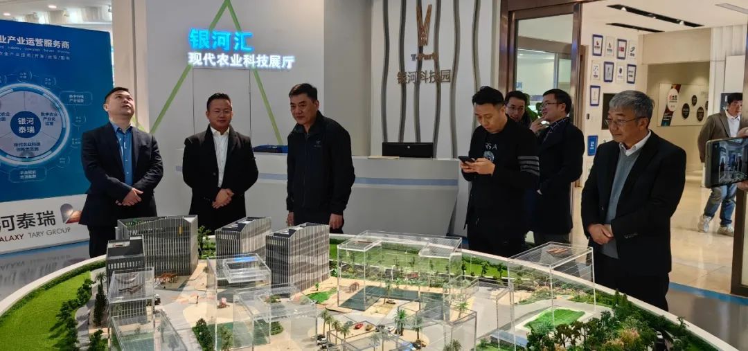 1704965539112528.jpg 1.jpg