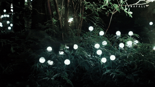1748501994113771.gif 804.gif